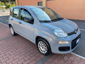 FIAT PANDA EASY 1.2cc IDONEA NEOPATENTATI