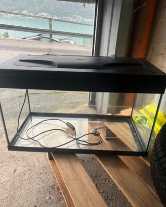 Acquario