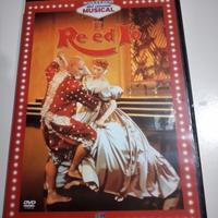 dvd il re ed io 