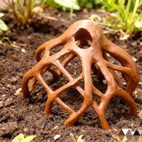 Tronco radice per acquario terrario