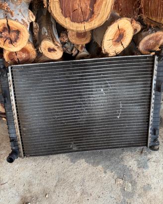 Parafango e radiatore Ford Fiesta mk5