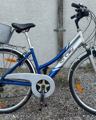 Bicicletta Alp City