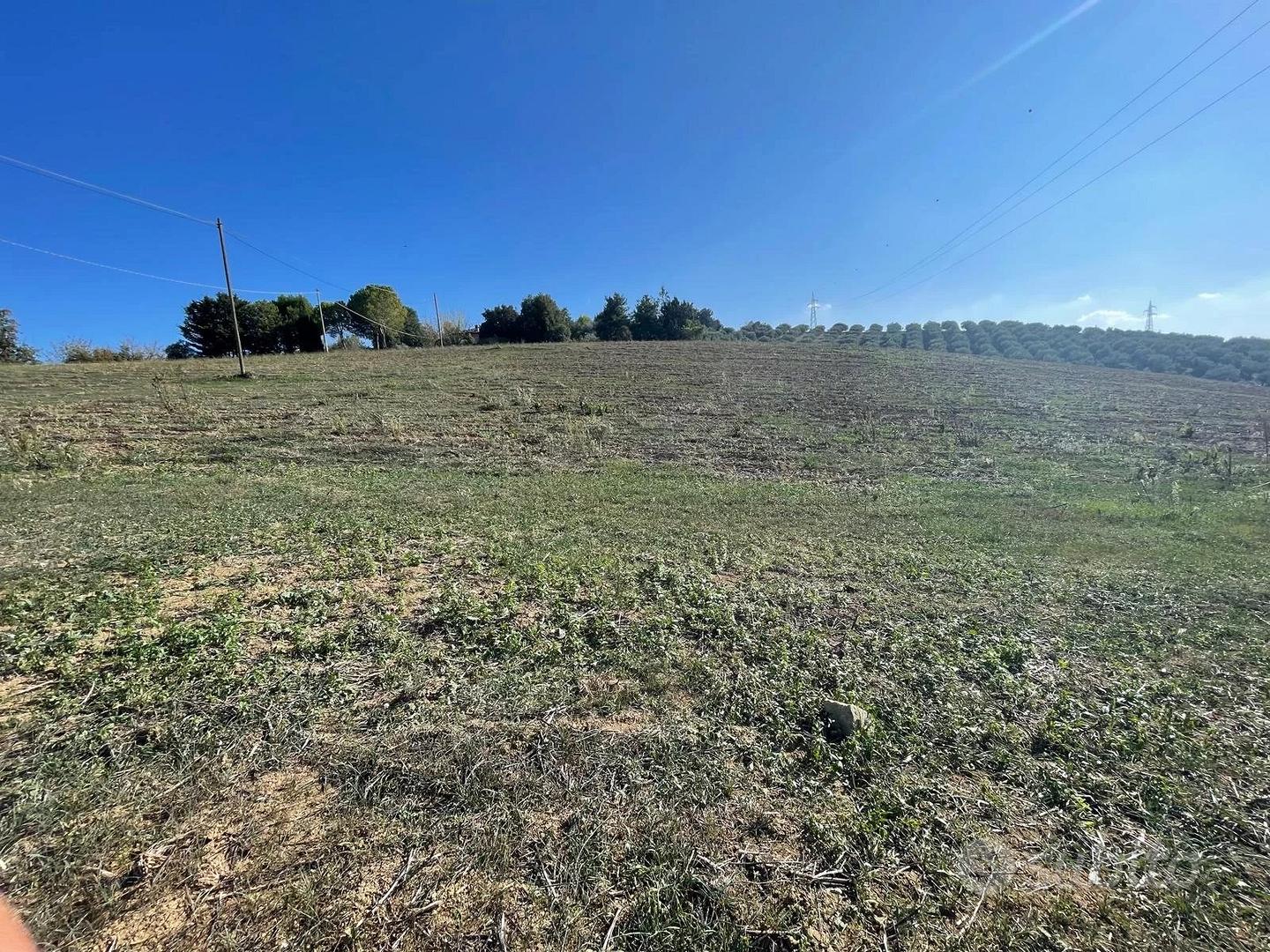 TERRENO AGRICOLO - Vista 3