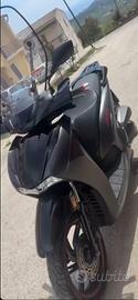 Sh 350 sport 2022