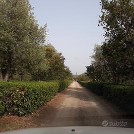 Villa con Piscina e due ettari Terreno