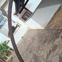 PALO  CURVO PER  TETTOIA