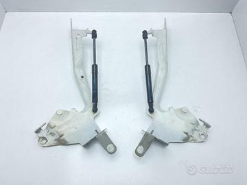 CERNIERE COFANO ANTERIORE DX E SX RENAULT Scenic X