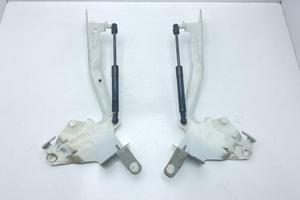 CERNIERE COFANO ANTERIORE DX E SX RENAULT Scenic X