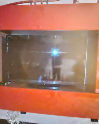 televisione