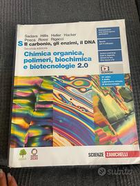 Il carbonio, gli enzimi, il DNA