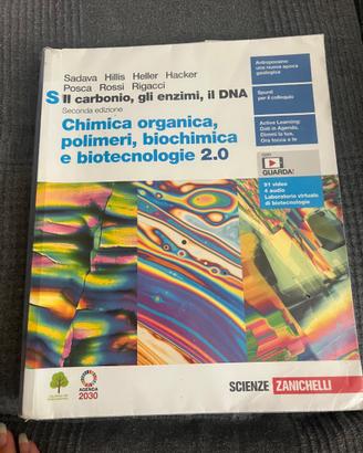 Il carbonio, gli enzimi, il DNA