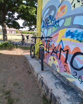 bici  muontain bike 