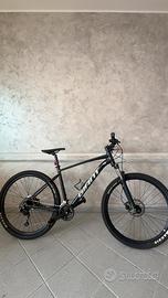 Montanbike Giant