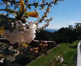 Bilocale al Limone, Isola d'Elba, Seccheto