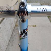 Telaio corsa Colnago dream Art decor