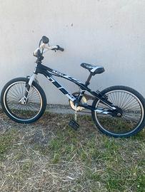 Bicicletta aurelia