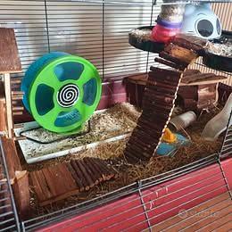 Gabbia per criceti ALASKA + molti accessori