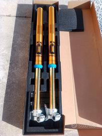  Forcelle Ohlins RXF 48S