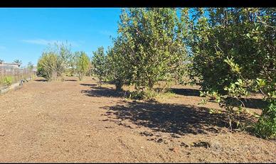 ULTIMI GIORNI ---> Terreno ANGRI SUPERAFFARE