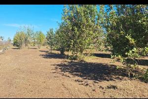 ULTIMI GIORNI ---> Terreno ANGRI SUPERAFFARE