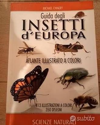 Libro Guida degli Insetti d'Europa