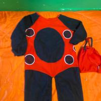 Vedtito carnevale da coccinella