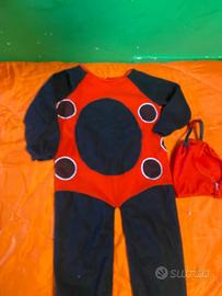 Vedtito carnevale da coccinella