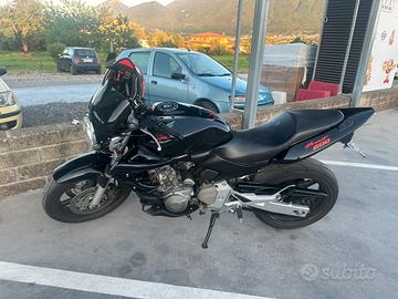 HONDA HORNET 2004 perfetta