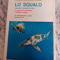 libro grade 30x20 lo squalo