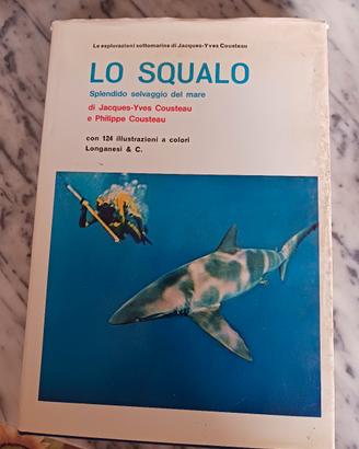 libro grade 30x20 lo squalo
