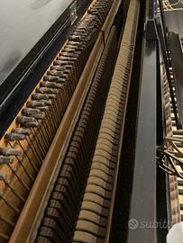 CORDE PER PIANOFORTE INIZIO 900