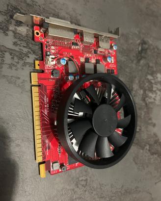 Scheda video 1050