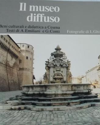 Luigi Ghirri Guido Guidi IL MUSEO DIFFUSO