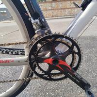 wilier 101 in carbonio 