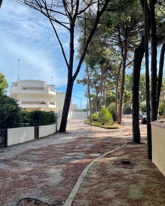 Trilocale 50 mt dal mare - Lido Estensi