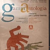 grammantologia vol. 1