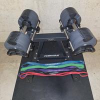 LACERTOSUS MANUBRI PANCA