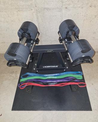 LACERTOSUS MANUBRI PANCA