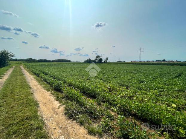 TER. AGRICOLO A CASATENOVO