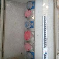 Quadro elettrico da cantiere