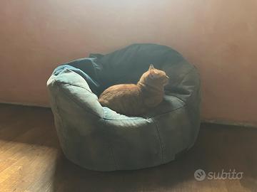 Poltrona a sacco per gatti o cani di stazza media