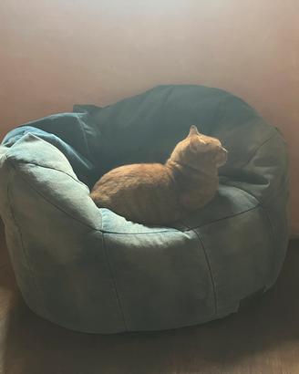 Poltrona a sacco per gatti o cani di stazza media