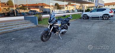 Moto Guzzi Stelvio PFF - AZIENDALE