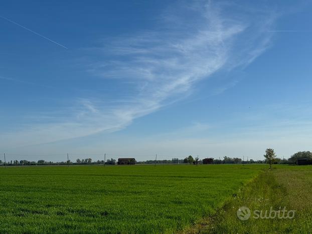 Terreno agricolo