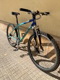 Bicicletta MTB
