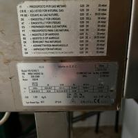 Forno professionale zanussi