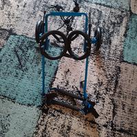 Carrozzina per cani disabili