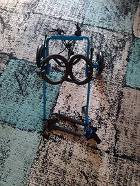 Carrozzina per cani disabili