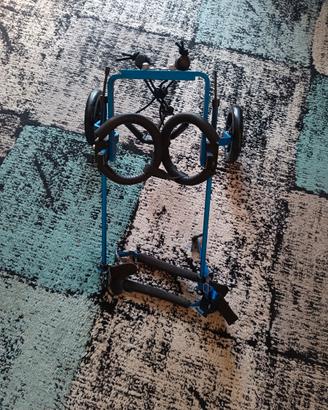 Carrozzina per cani disabili