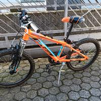 bicicletta  bambino 